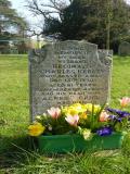 image of grave number 231196